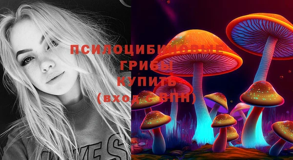 стафф Алзамай