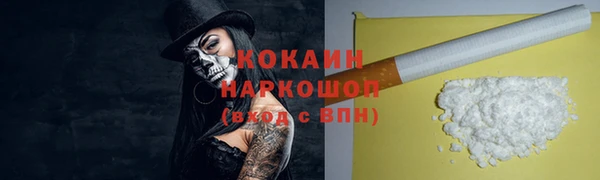 стафф Алзамай