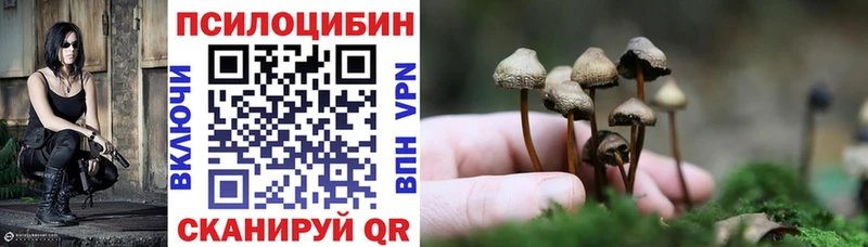 Галлюциногенные грибы Psilocybine cubensis  Саров 